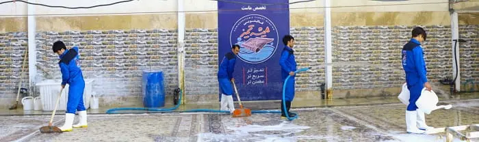قالیشویی در فروغی اصفهان